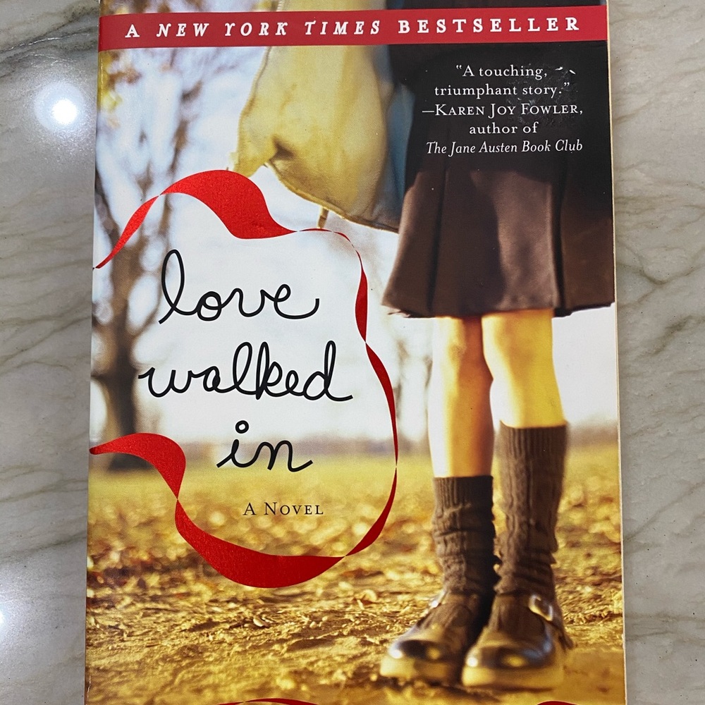 Book : Love walked in by Marisa De Los Santos